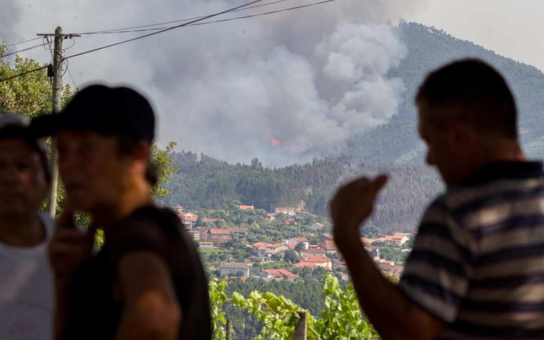 Incêndios: Cáritas anuncia resultados da campanha de junho de 2017 e agradece «confiança» dos portugueses