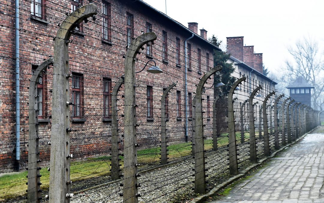Vaticano: Papa recorda «silêncio ensurdecedor» de Auschwitz