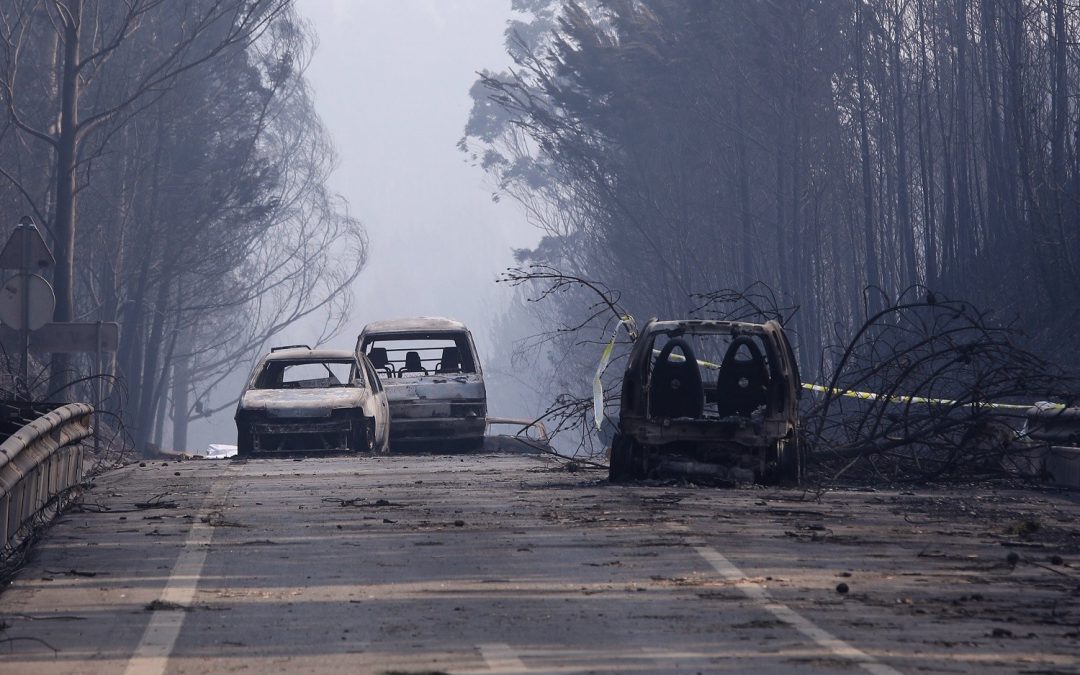 Portugal: Bispos da Europa visitam zona afetada pelos incêndios