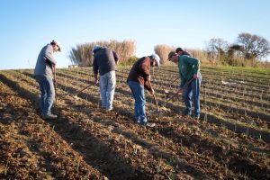 Lisboa: Encontro «Cristãos do Oeste – Caminhos e Desafios»