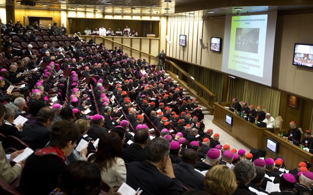 Sínodo 2018: Presidentes das Comissões que acompanham Pastoral Juvenil e Vocações representam episcopado português