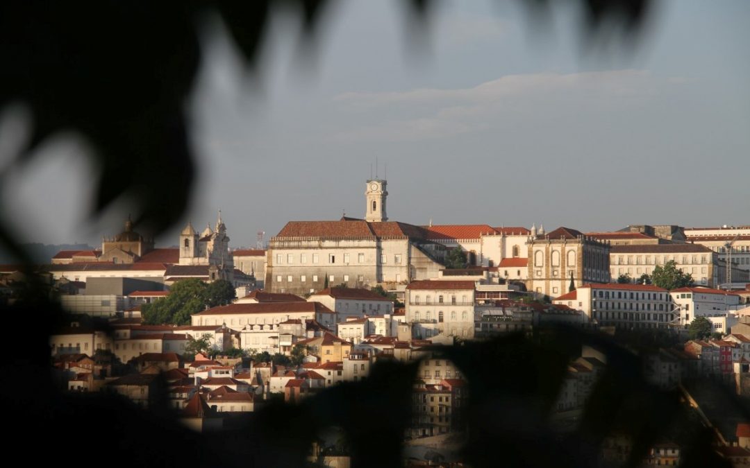 Homilia do bispo de Coimbra na Missa da Páscoa
