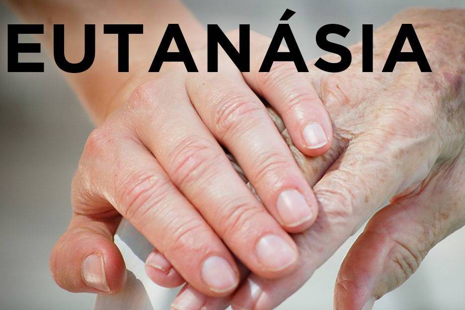 Eutanásia: «Não se pode lidar com a vida ao desbarato» – Bispo de Lamego