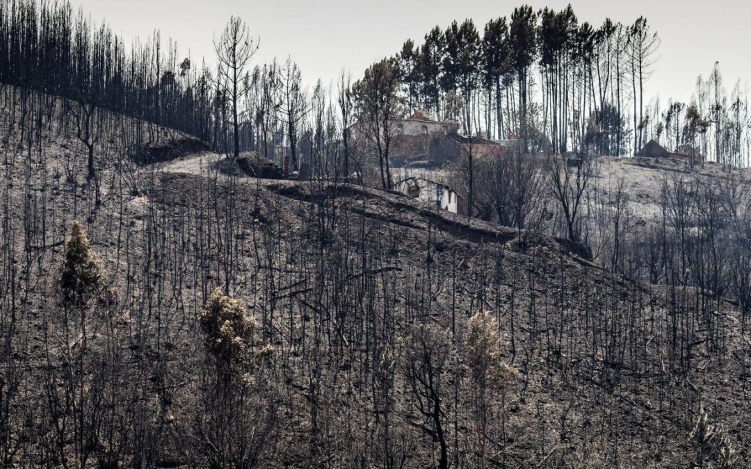 Incêndios: União das Misericórdias Portuguesas concluiu a reconstrução e reabilitação de 28 habitações da região centro do país
