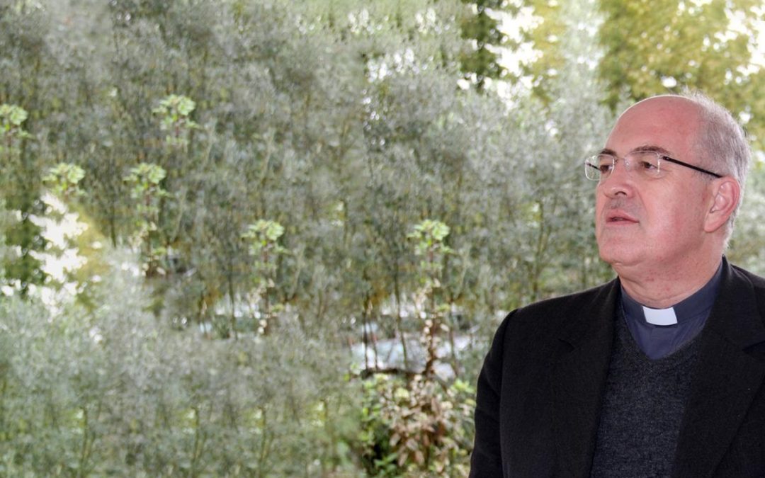 Évora: Presidente da República enviou telegrama de saudação a D. Francisco Senra Coelho