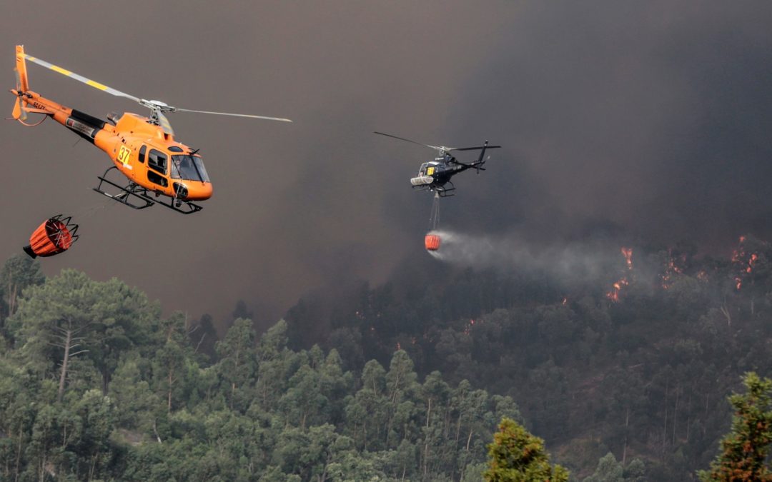 Algarve: Bispo rezou pelos bombeiros que combatem fogo na região