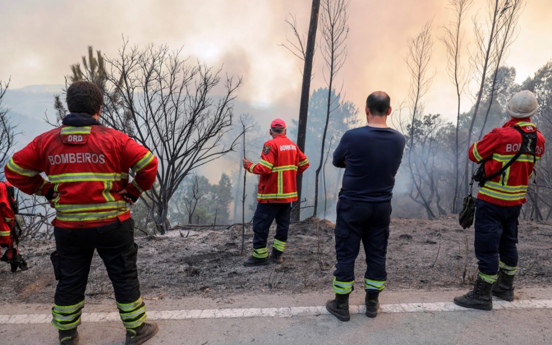 Algarve: Igreja Católica pronta para ajudar população afetada pelo incêndio em Monchique