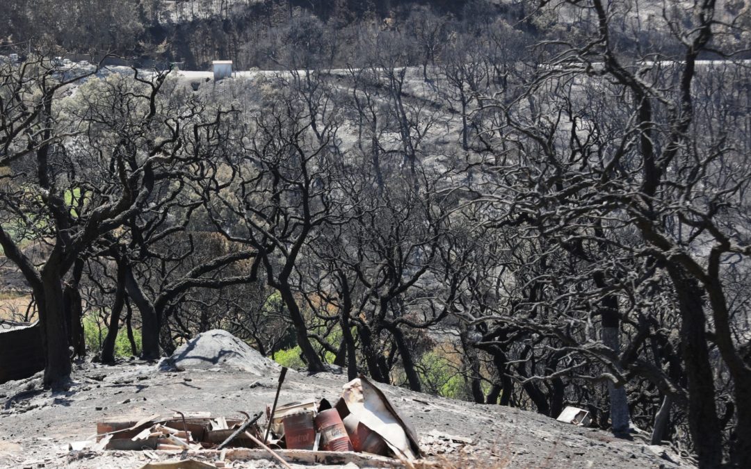 Incêndios: Diocese do Algarve recolhe donativos para vítimas dos fogos