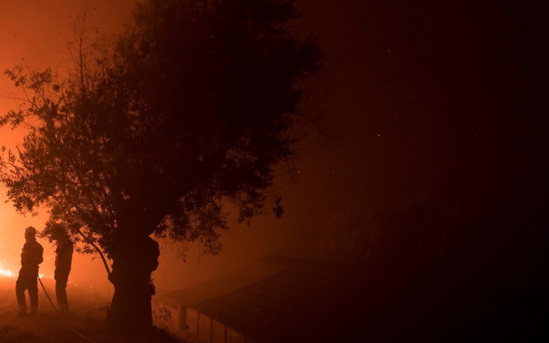 Incêndios: Cáritas de Portalegre-Castelo Branco revela relatório final do apoio, após tragédia de Pedrógão Grande
