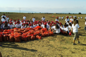 Ensino: Caloiros da Católica-Lisbon participam em praxe solidária de «Combate ao Desperdício Alimentar»