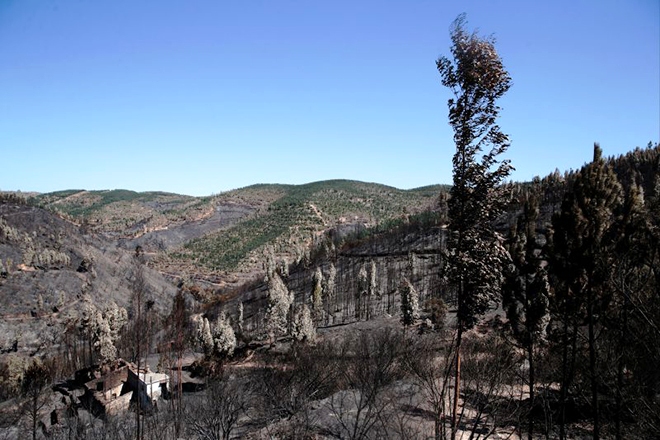 Algarve: Diocese recolheu mais de 100 mil euros em donativos para vítimas dos incêndios