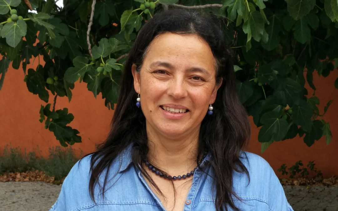 Recomeçar: dar aulas numa nova escola – Emissão 18-09-2018