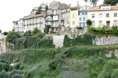 Porto: «Natal dos Sós» na Casa dos Girassóis