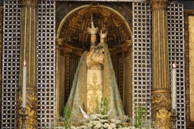 Imaculada Conceição: Arquidiocese de Évora honra padroeira com quatro dias de festa